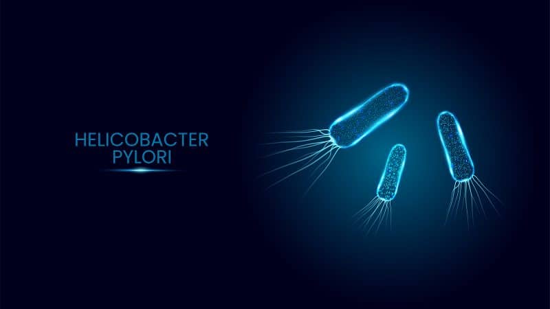 helicobacter pylor