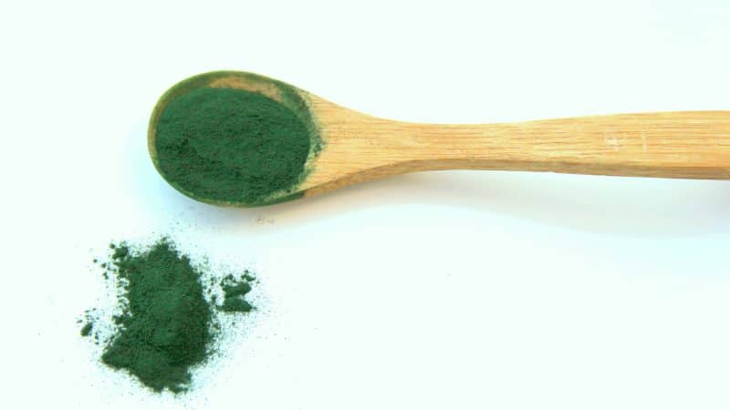barna alga fogyás egészséges étrend összeállítás