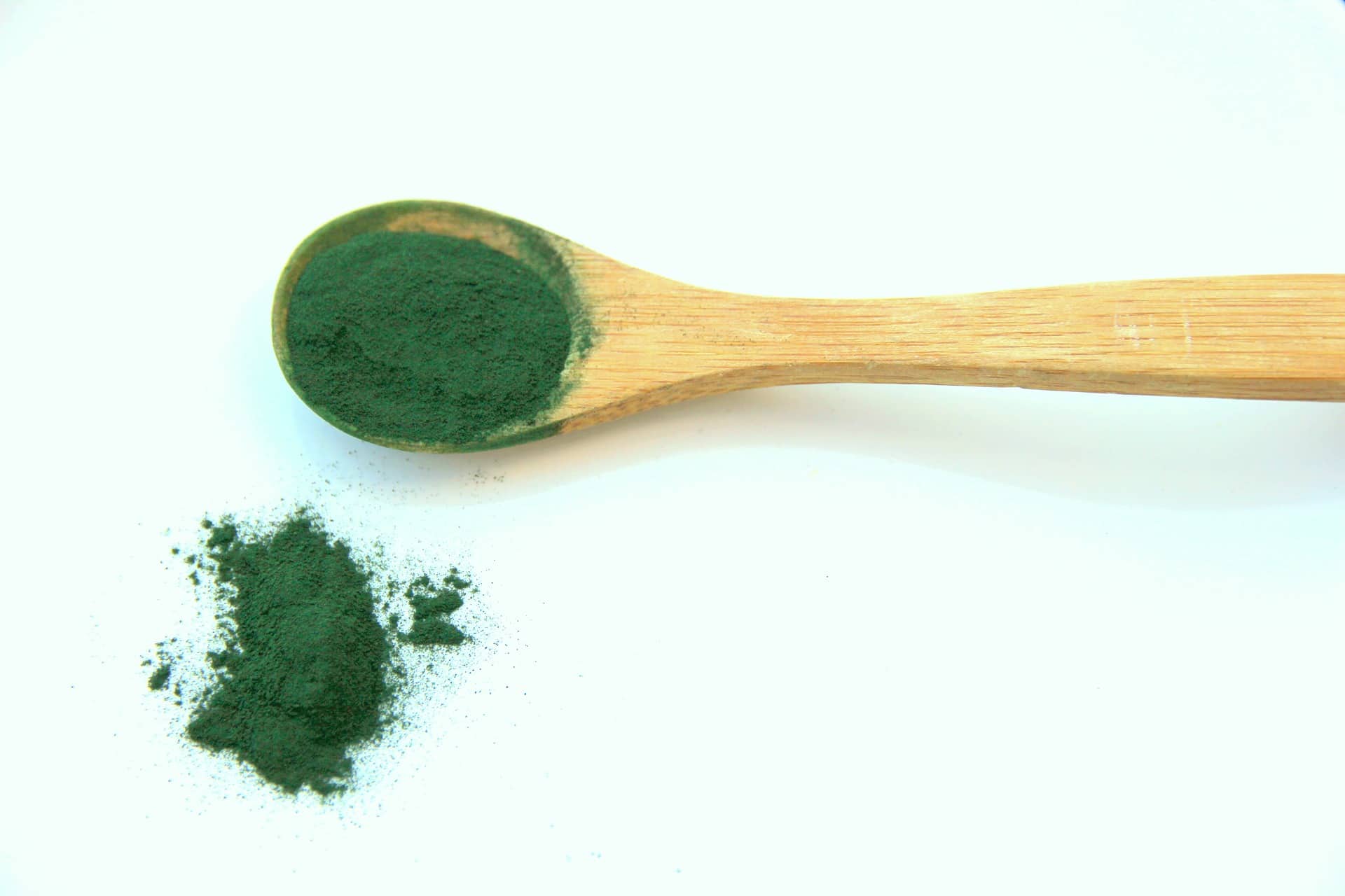 chlorella alga fogyás