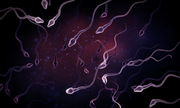 Astaxanthin a podpora mužskej plodnosti