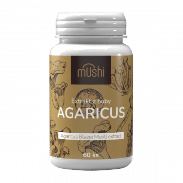 agaricus sk (1)