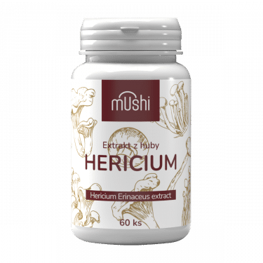 hericium sk (2)