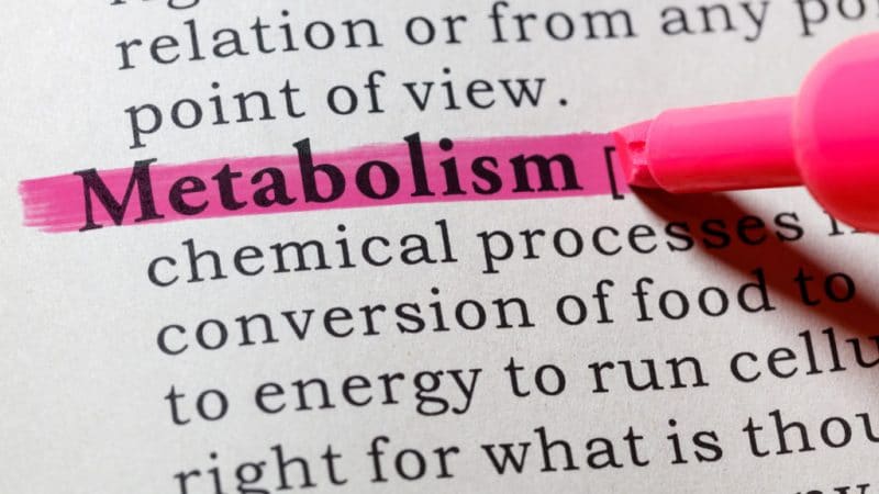 Metabolizmus označuje všetky chemické procesy prebiehajúce nepretržite vo vašom tele, ktoré umožňujú život a normálne fungovanie (udržiavanie normálneho fungovania v tele sa nazýva homeostáza).Metabolizmus je proces, ktorý sa vekom spomaľuje, ale výber životného štýlu môže ovplyvniť tieto zmeny.